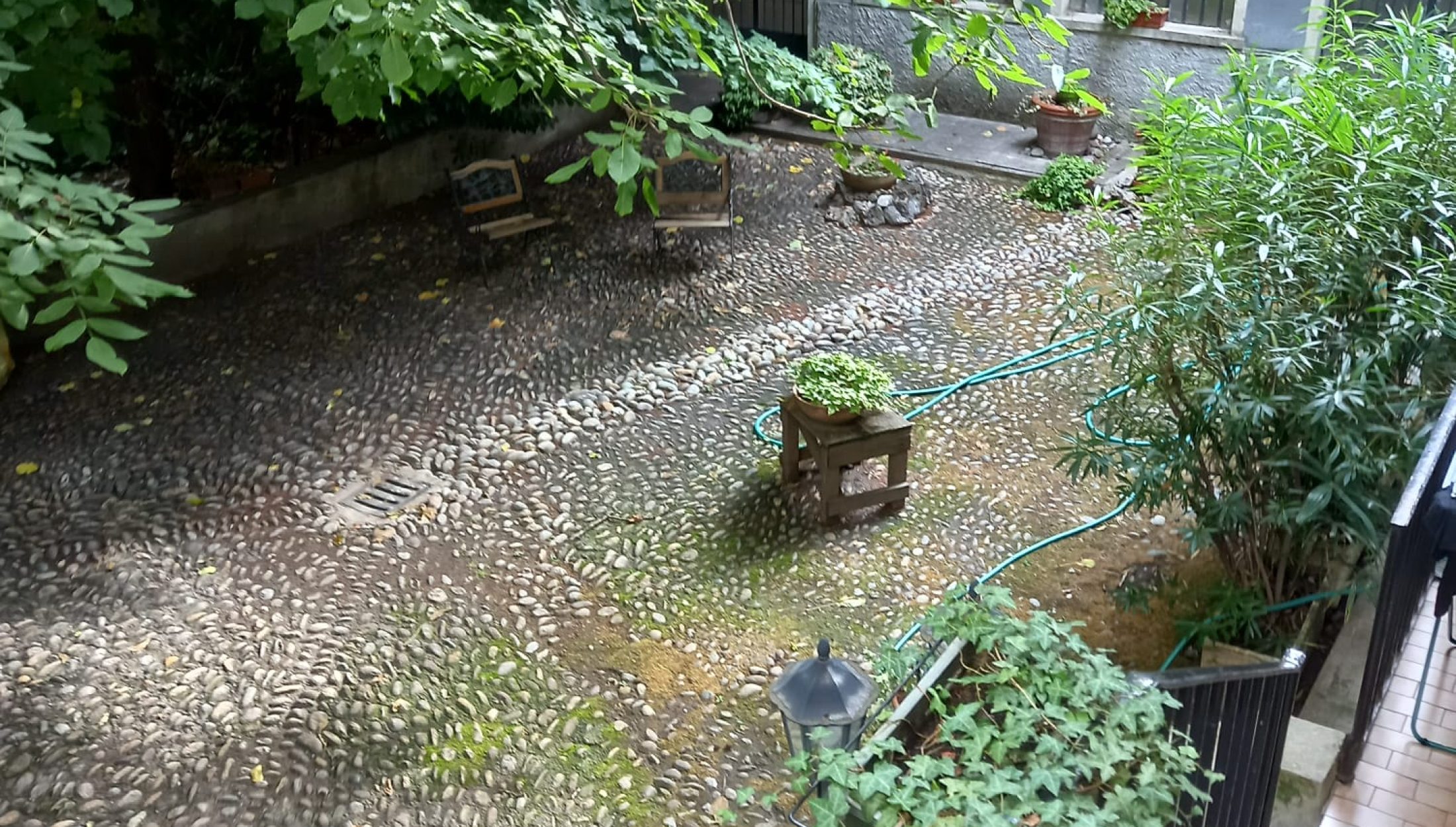 IMG-20210727-WA0000