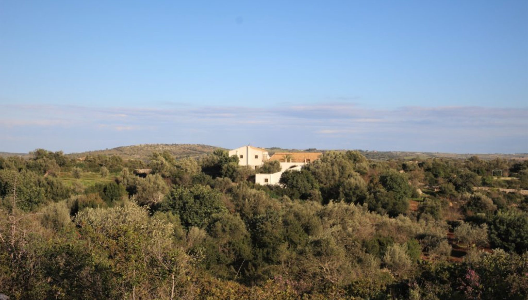 otiosa1